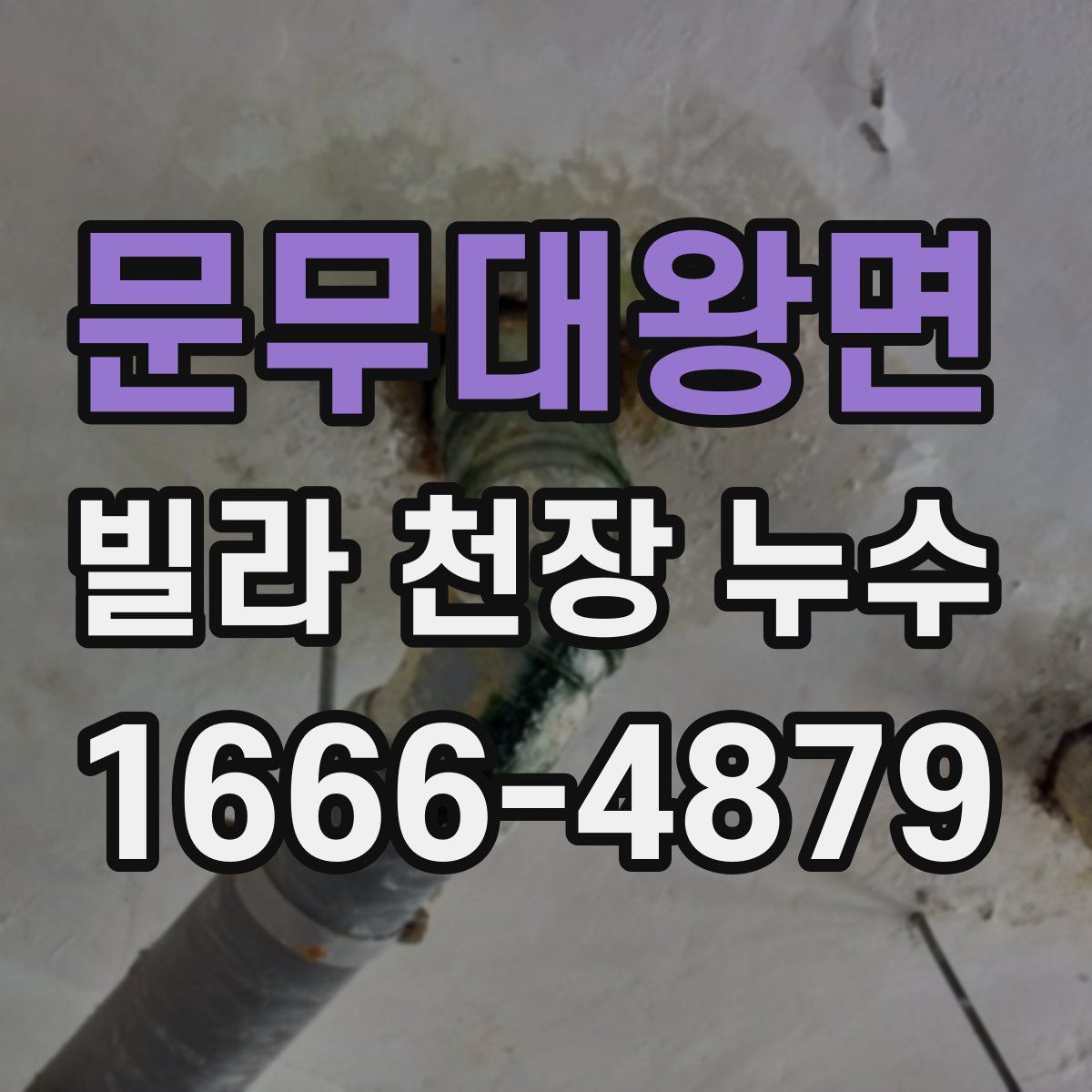 문무대왕면 빌라 천장 누수