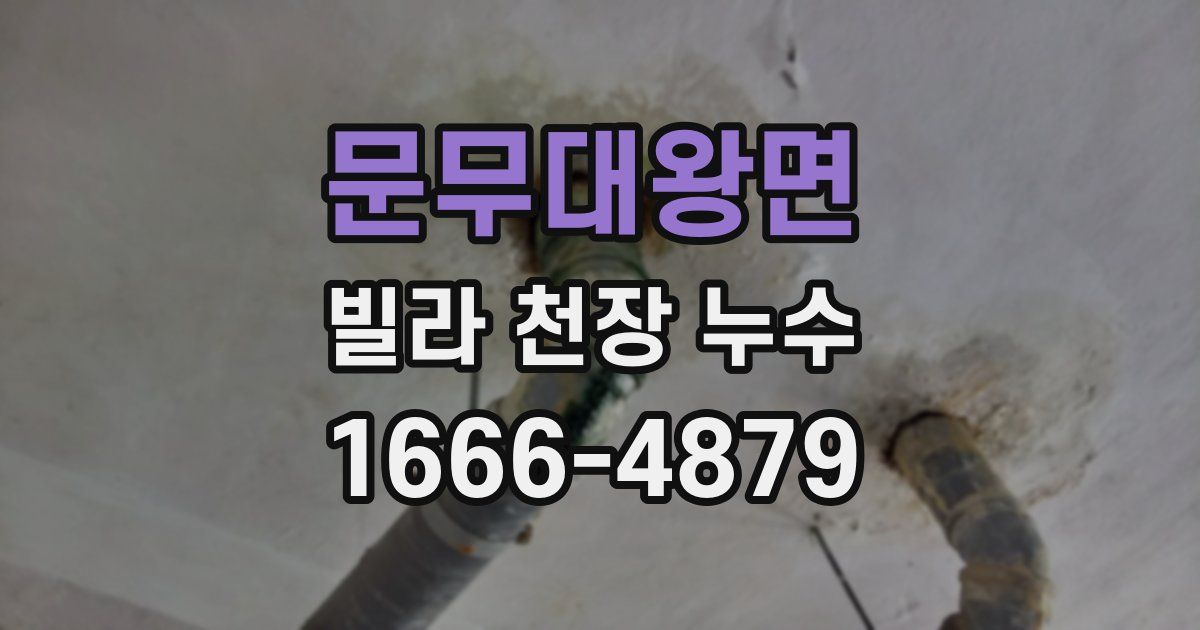문무대왕면 빌라 천장 누수