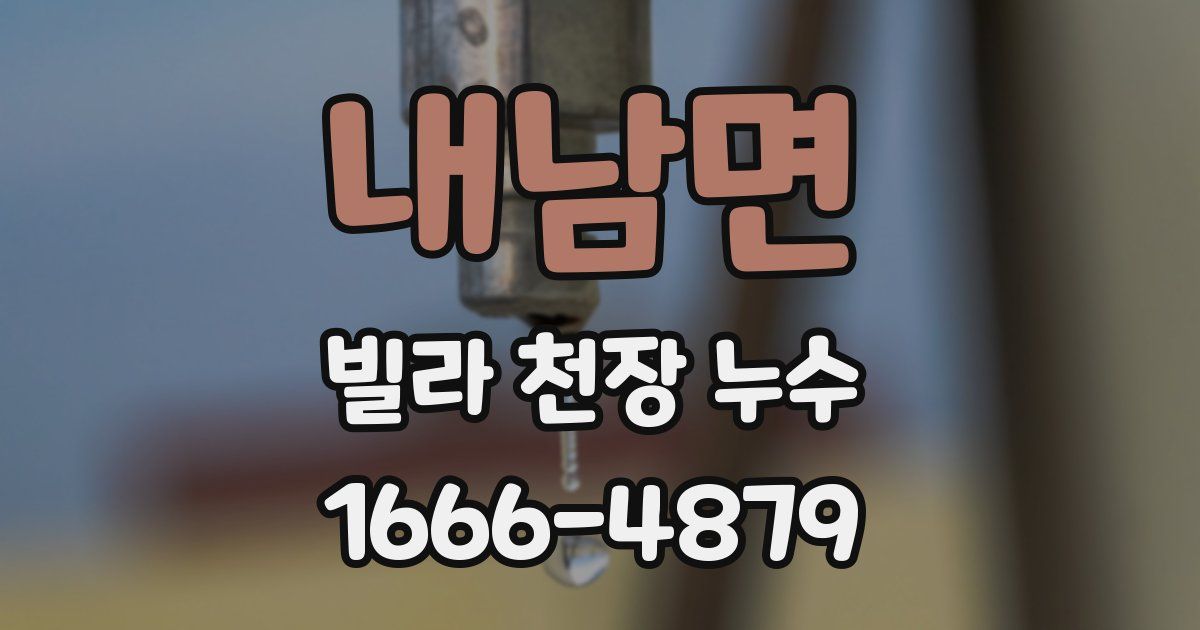 내남면 빌라 천장 누수