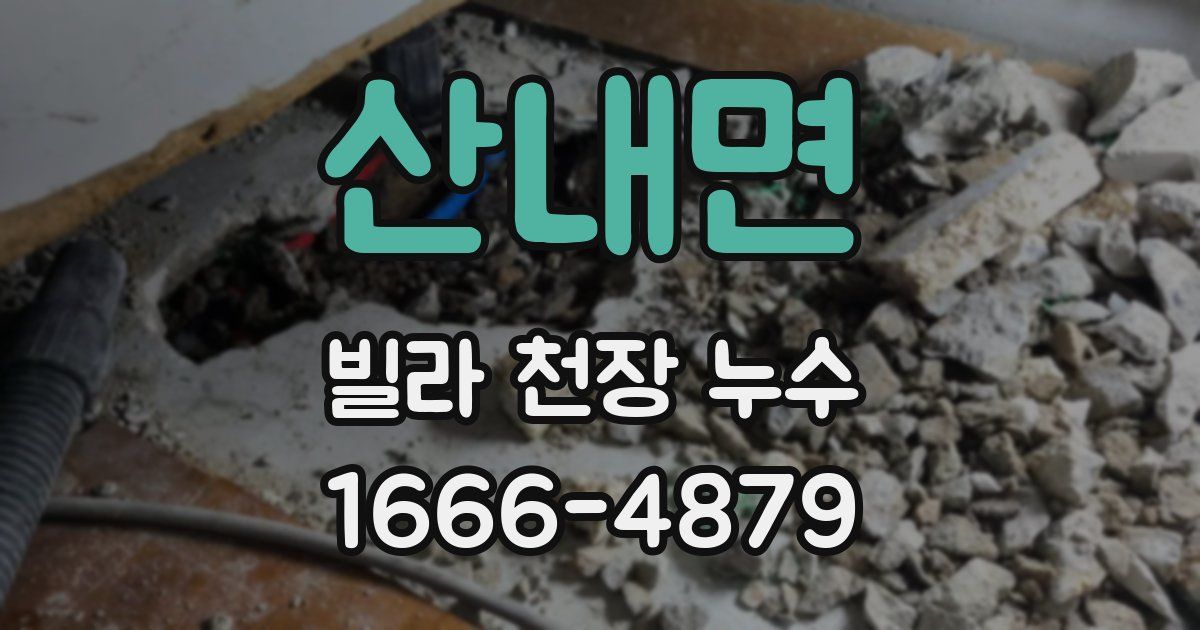 산내면 빌라 천장 누수