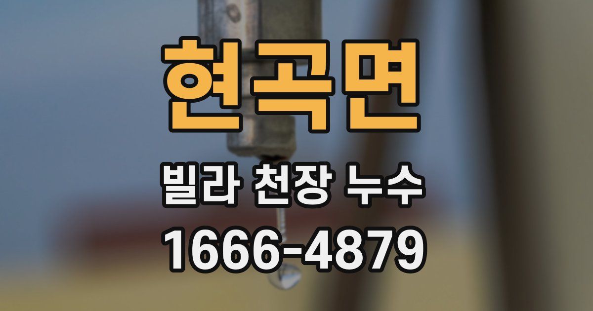 현곡면 빌라 천장 누수
