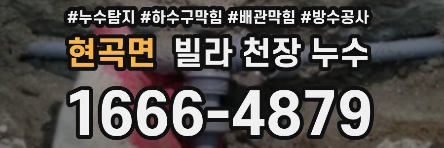 현곡면 빌라 천장 누수