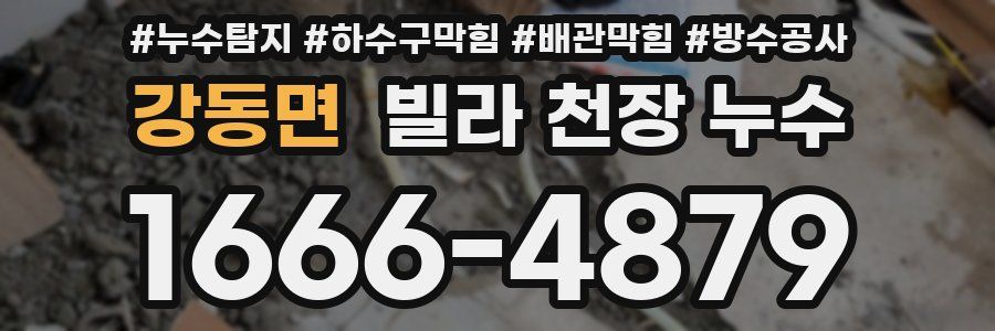 강동면 빌라 천장 누수