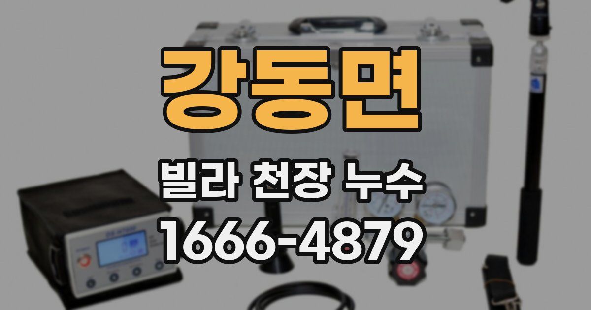 강동면 빌라 천장 누수