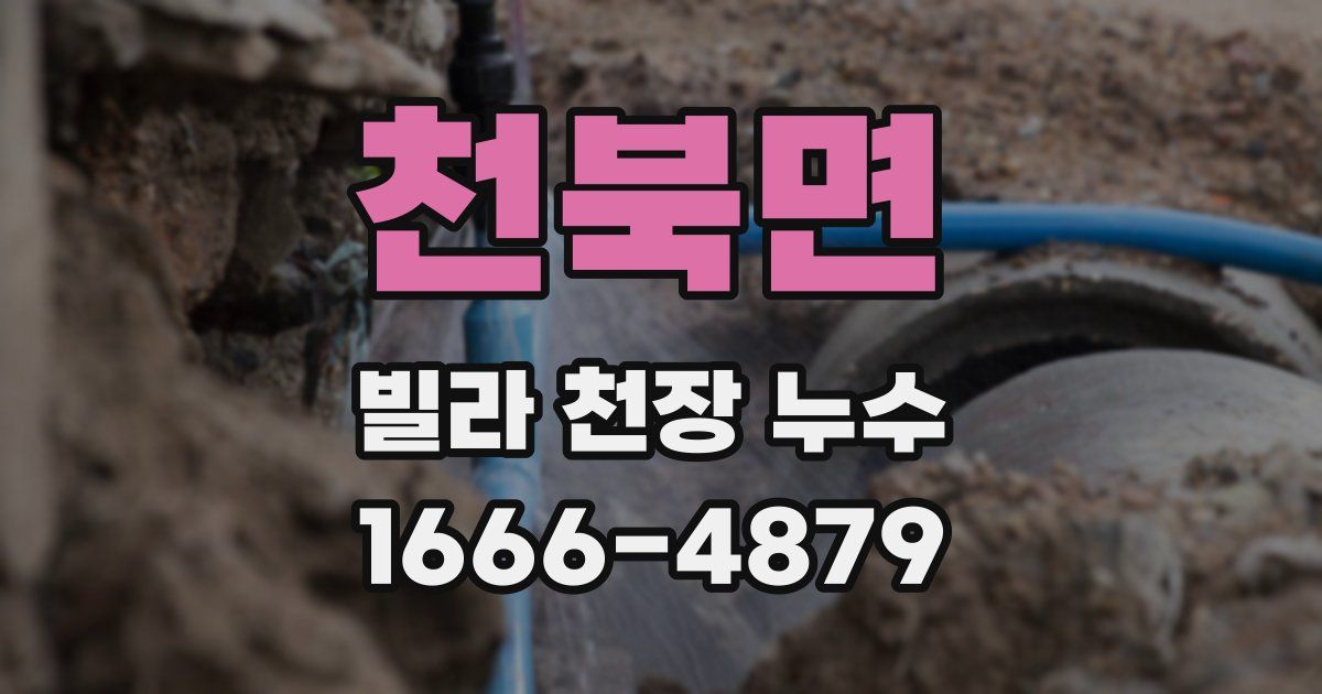 천북면 빌라 천장 누수