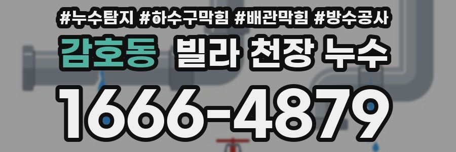감호동 빌라 천장 누수