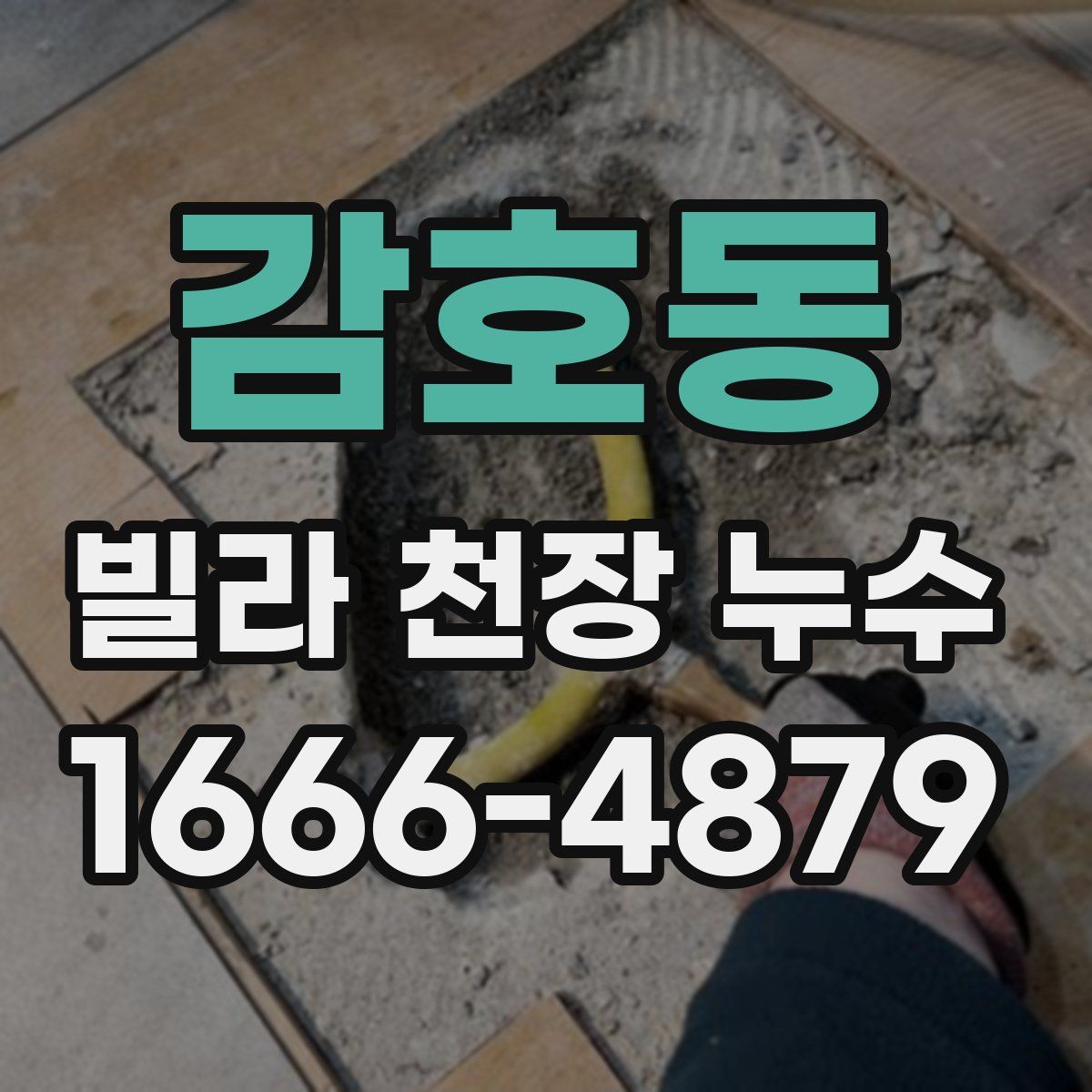 감호동 빌라 천장 누수