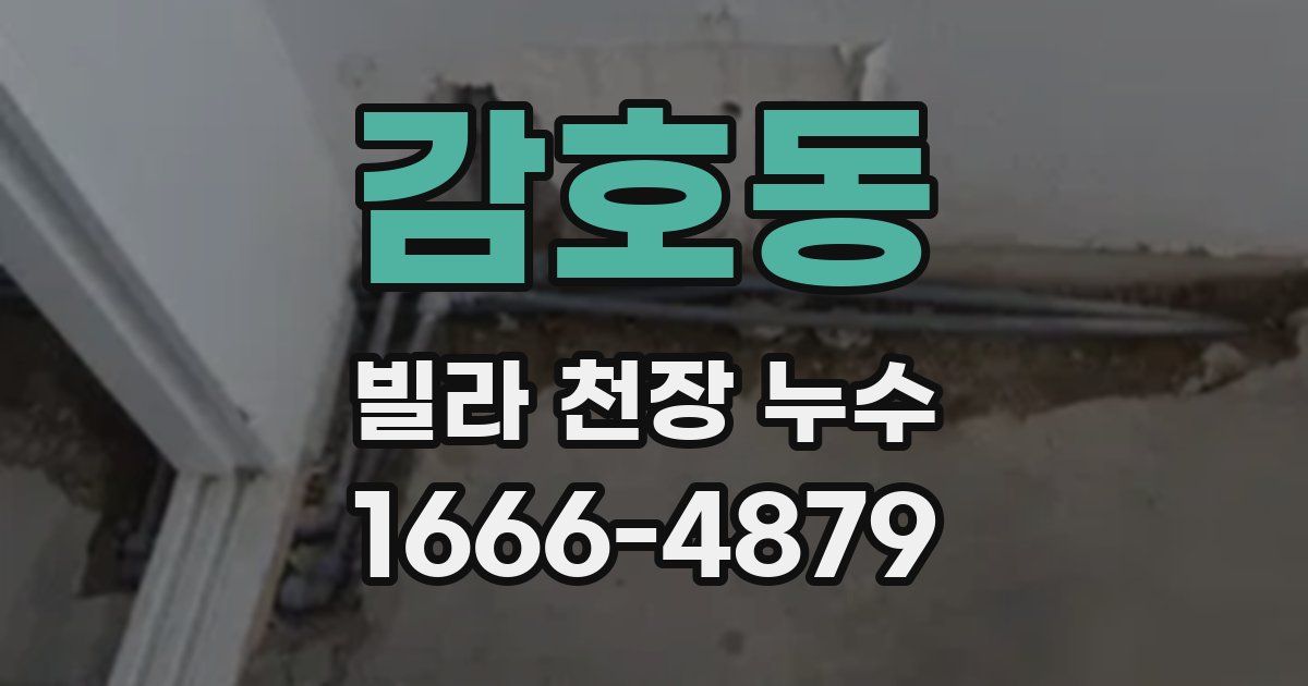 감호동 빌라 천장 누수