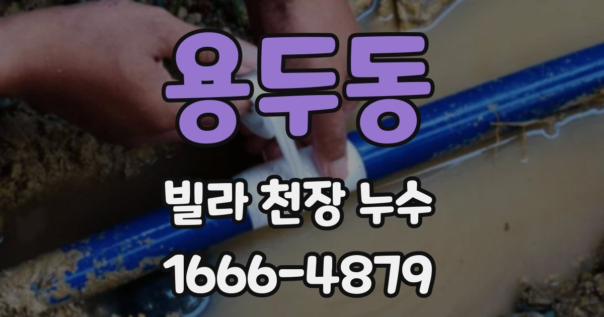 용두동 빌라 천장 누수