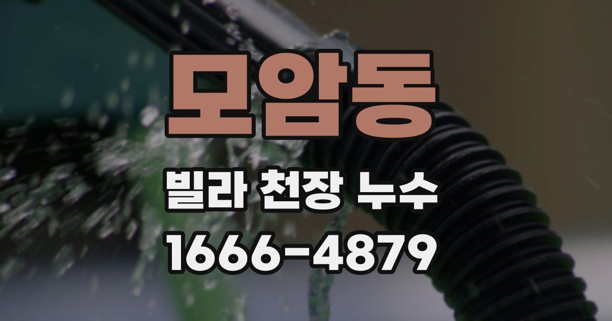 모암동 빌라 천장 누수