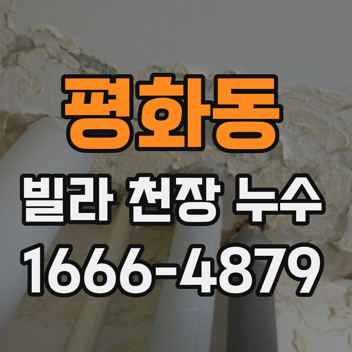평화동 빌라 천장 누수