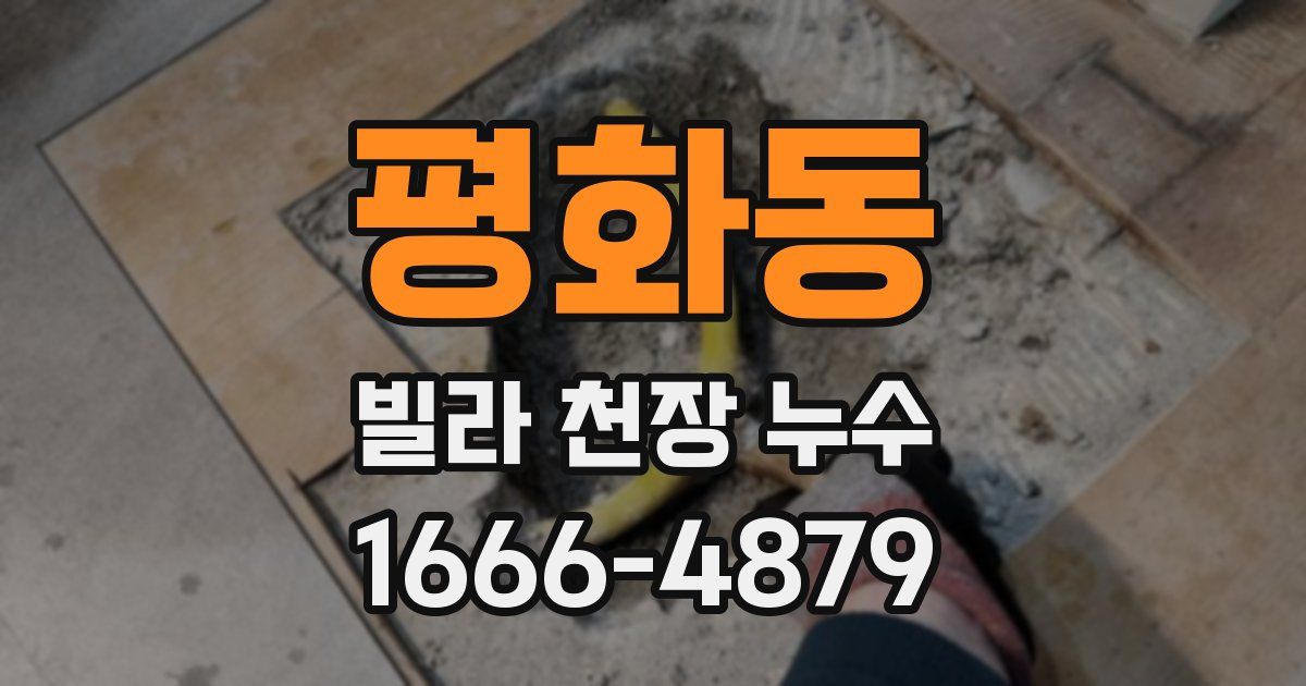 평화동 빌라 천장 누수