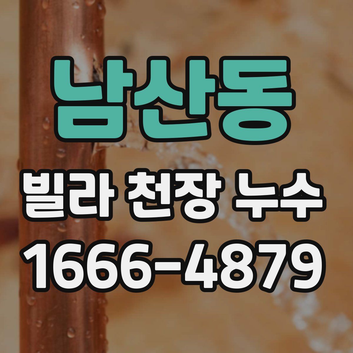 남산동 빌라 천장 누수