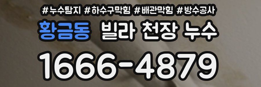 황금동 빌라 천장 누수