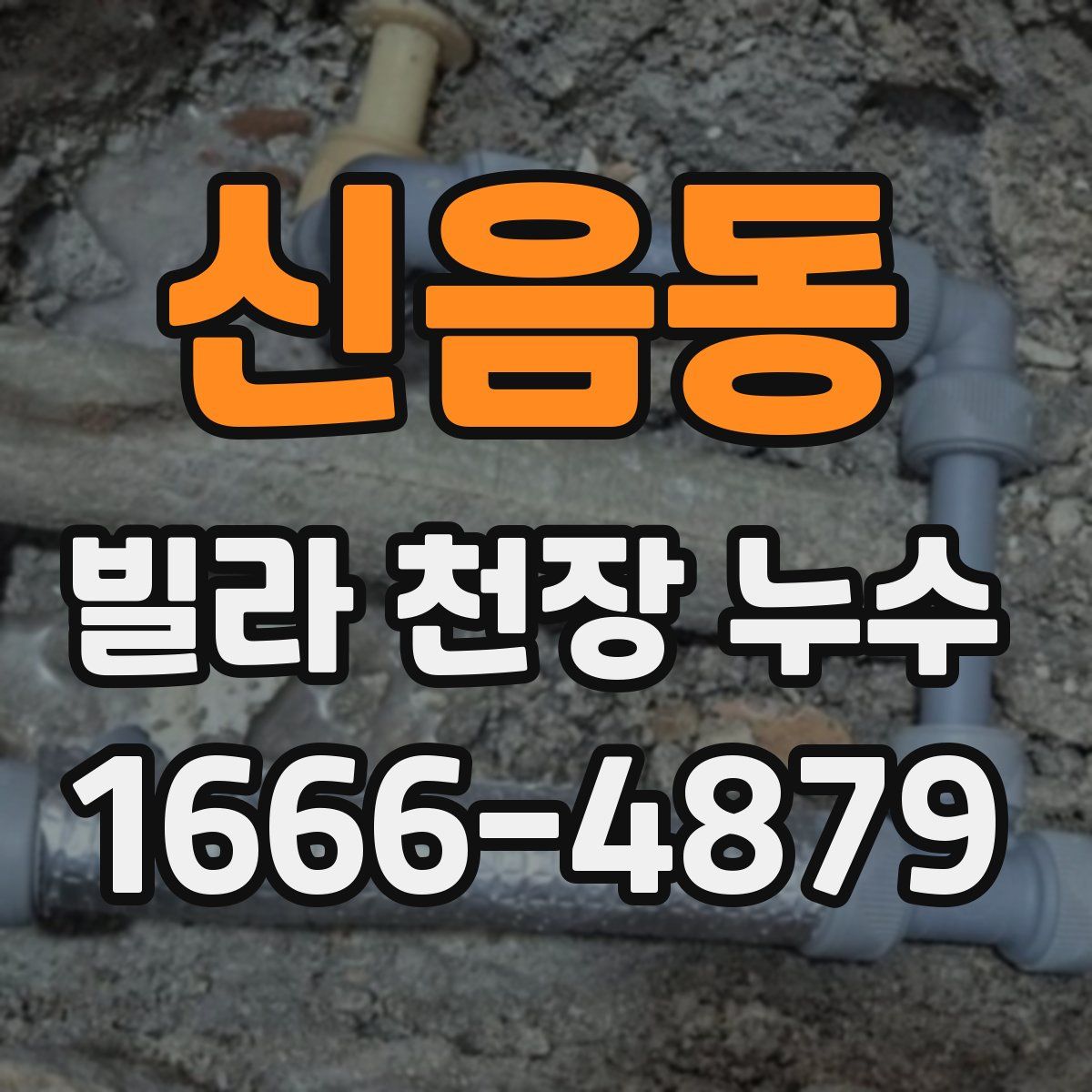 신음동 빌라 천장 누수