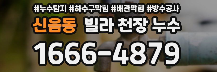 신음동 빌라 천장 누수