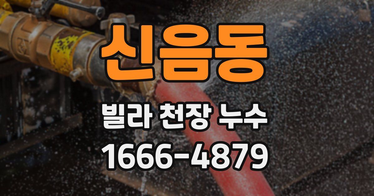 신음동 빌라 천장 누수