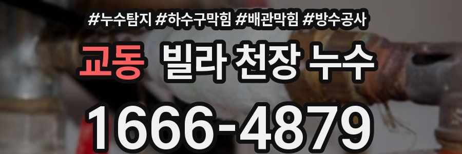 교동 빌라 천장 누수