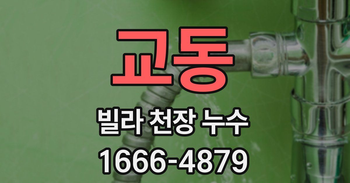 교동 빌라 천장 누수