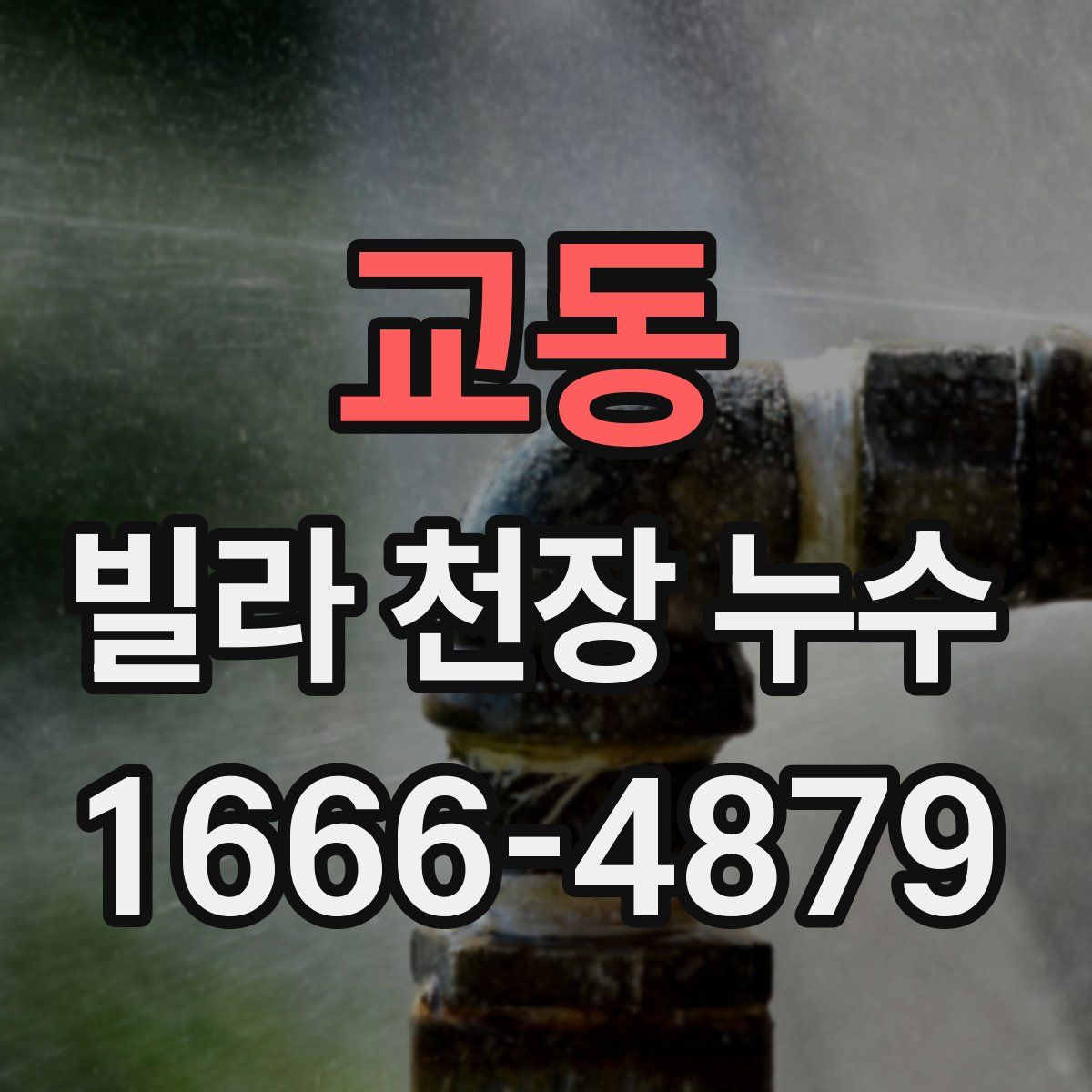 교동 빌라 천장 누수