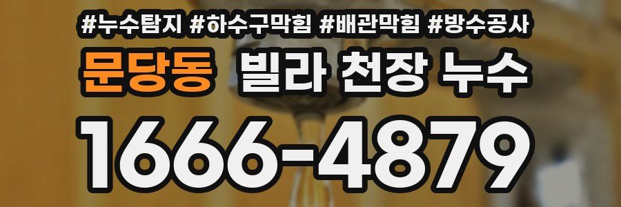문당동 빌라 천장 누수