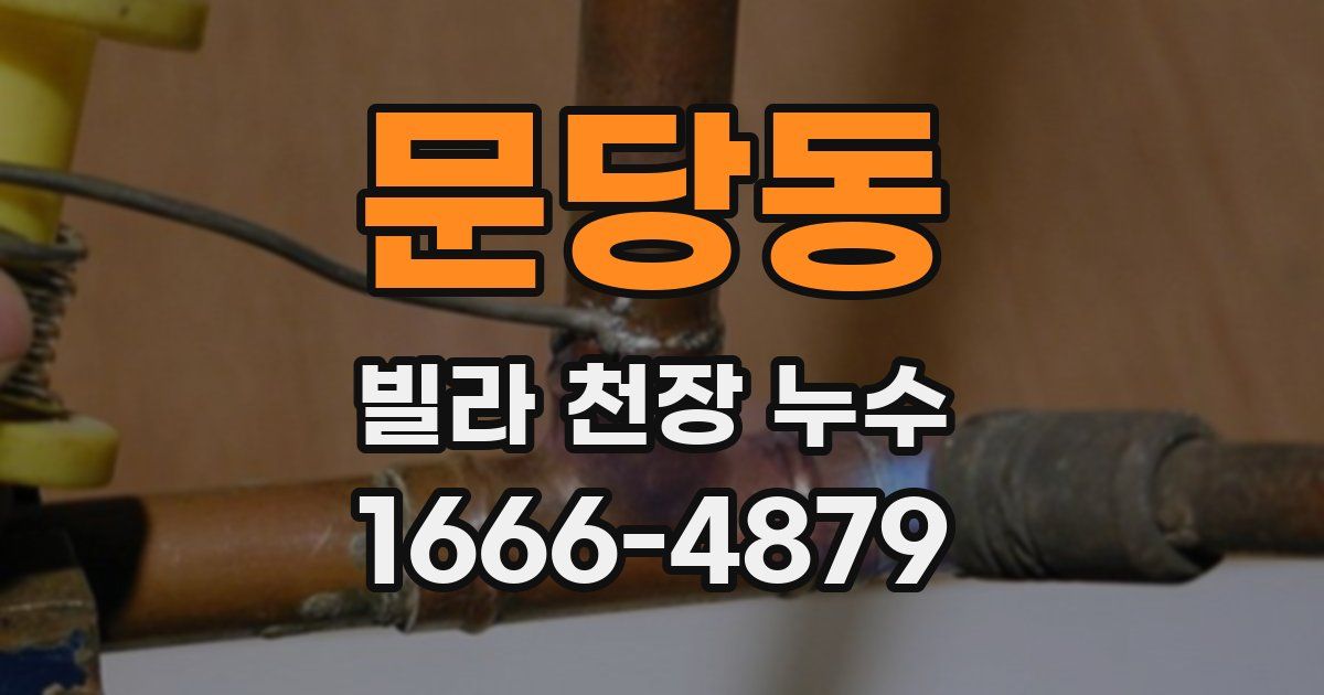 문당동 빌라 천장 누수