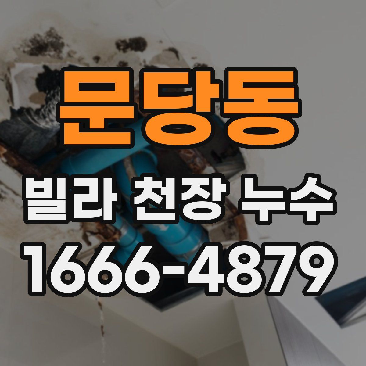 문당동 빌라 천장 누수