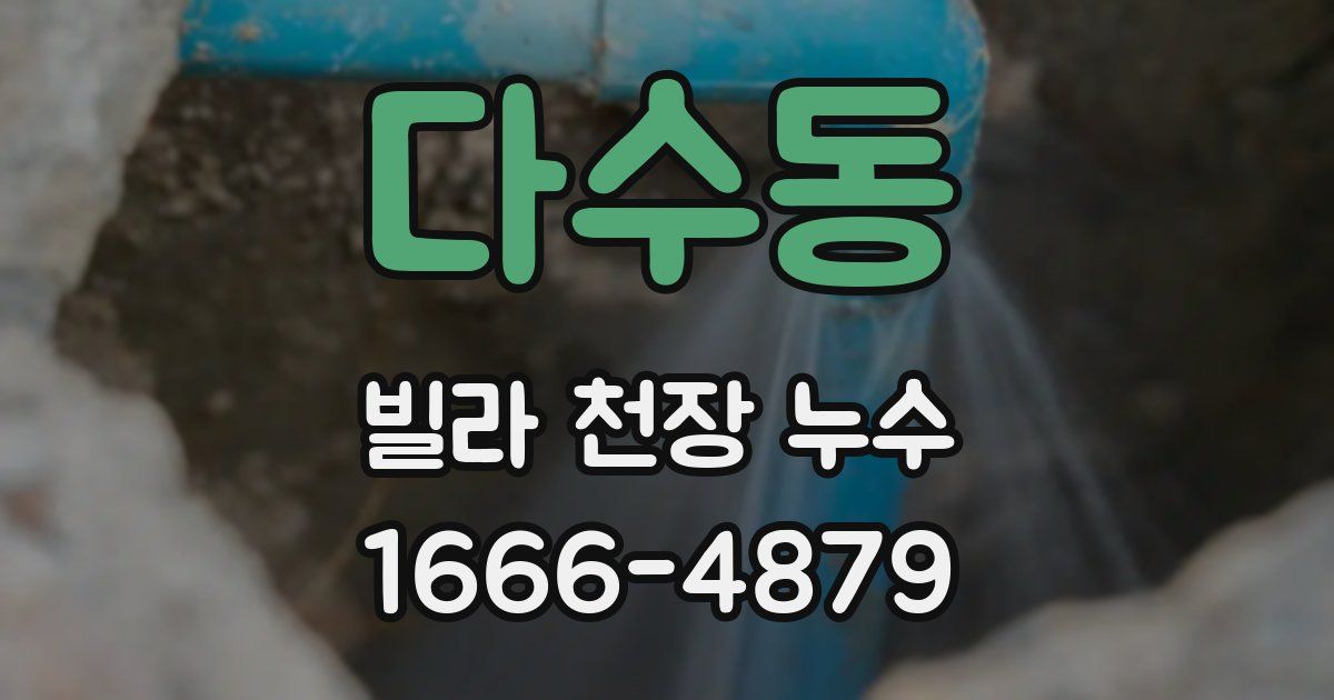 다수동 빌라 천장 누수