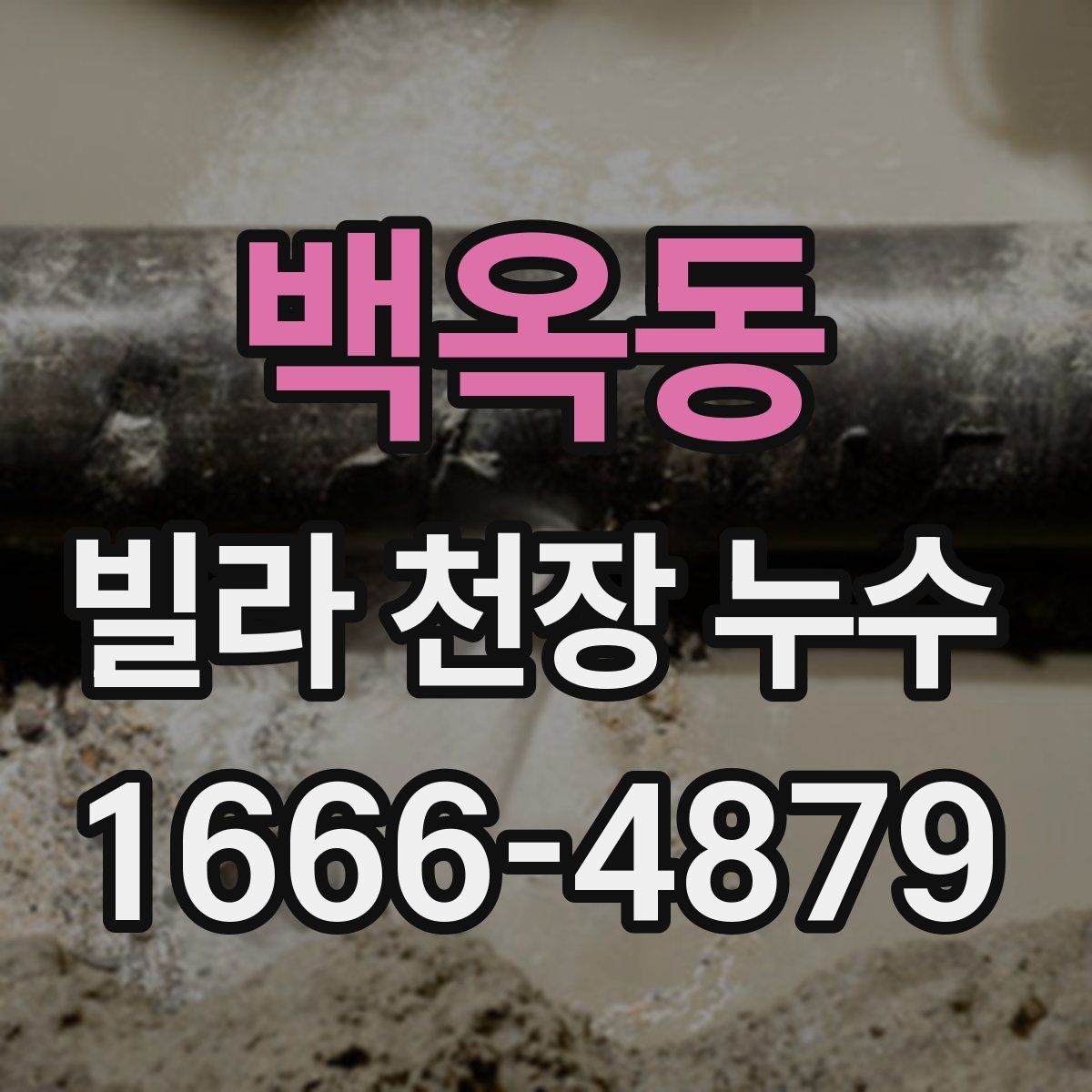 백옥동 빌라 천장 누수
