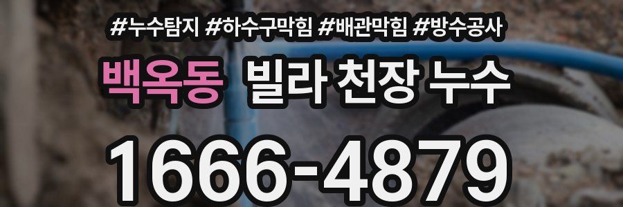 백옥동 빌라 천장 누수