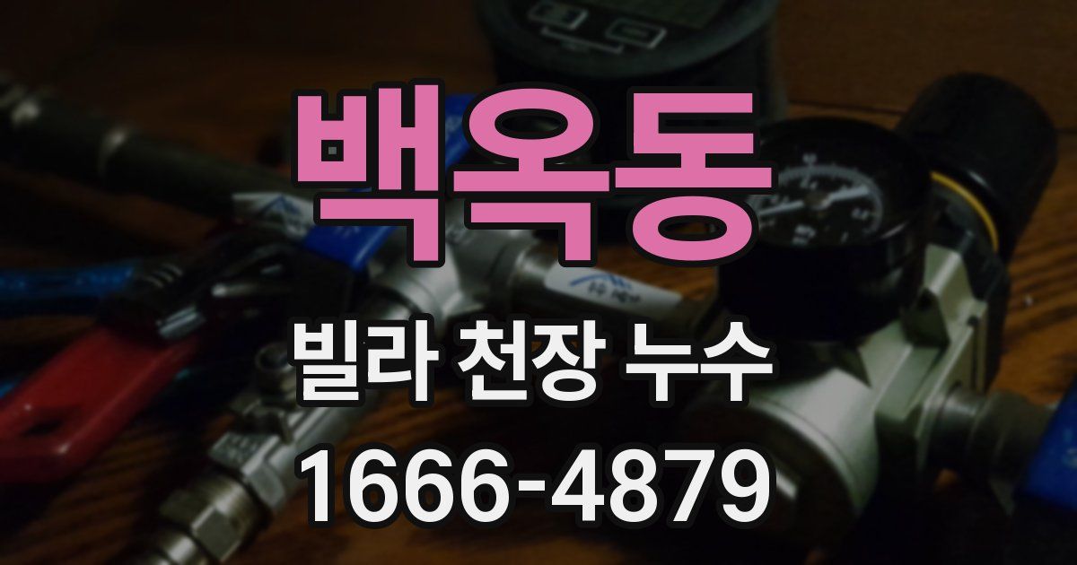 백옥동 빌라 천장 누수