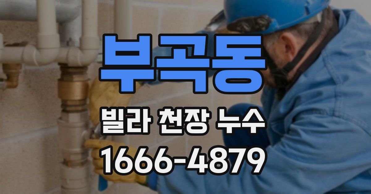 부곡동 빌라 천장 누수