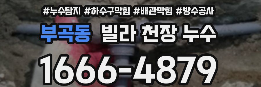 부곡동 빌라 천장 누수