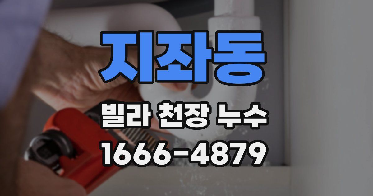지좌동 빌라 천장 누수