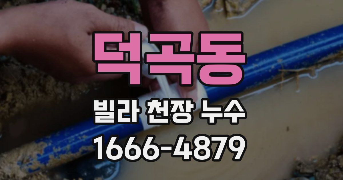 덕곡동 빌라 천장 누수