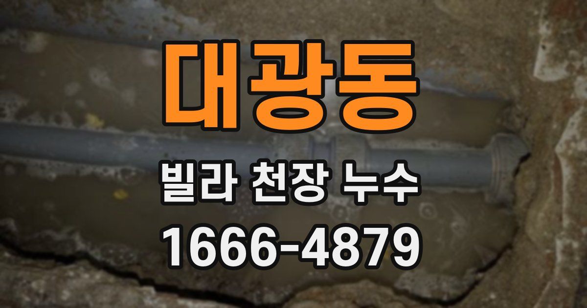대광동 빌라 천장 누수