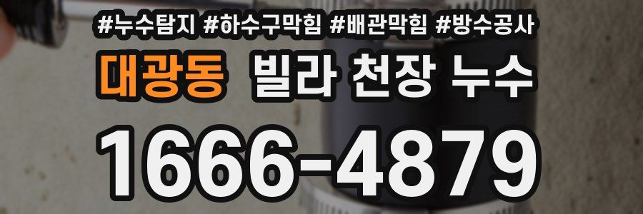 대광동 빌라 천장 누수