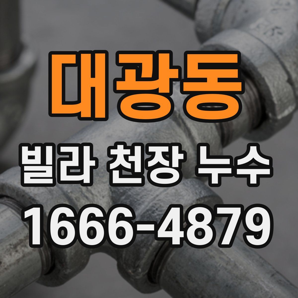 대광동 빌라 천장 누수