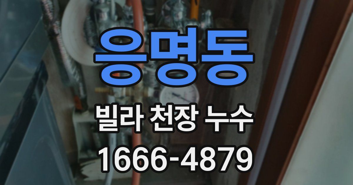 응명동 빌라 천장 누수