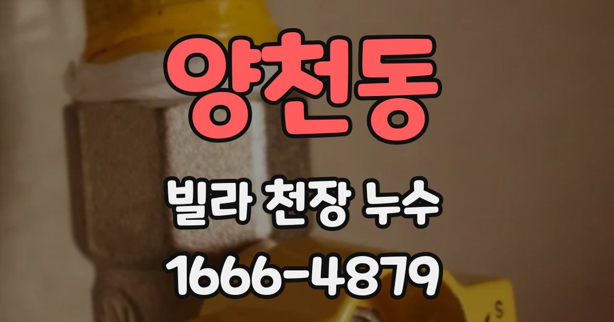 양천동 빌라 천장 누수