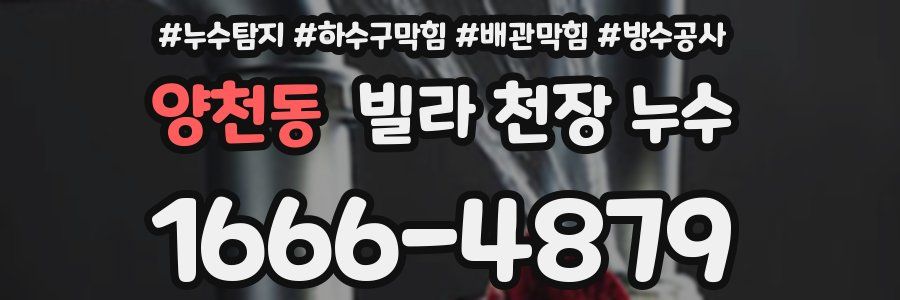 양천동 빌라 천장 누수