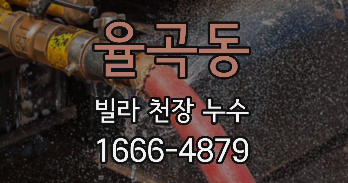 율곡동 빌라 천장 누수