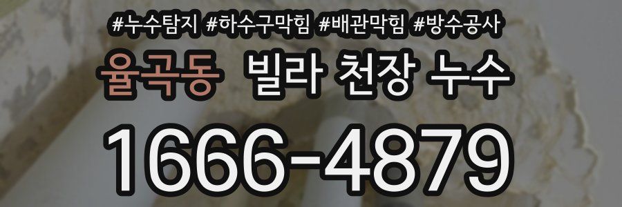 율곡동 빌라 천장 누수