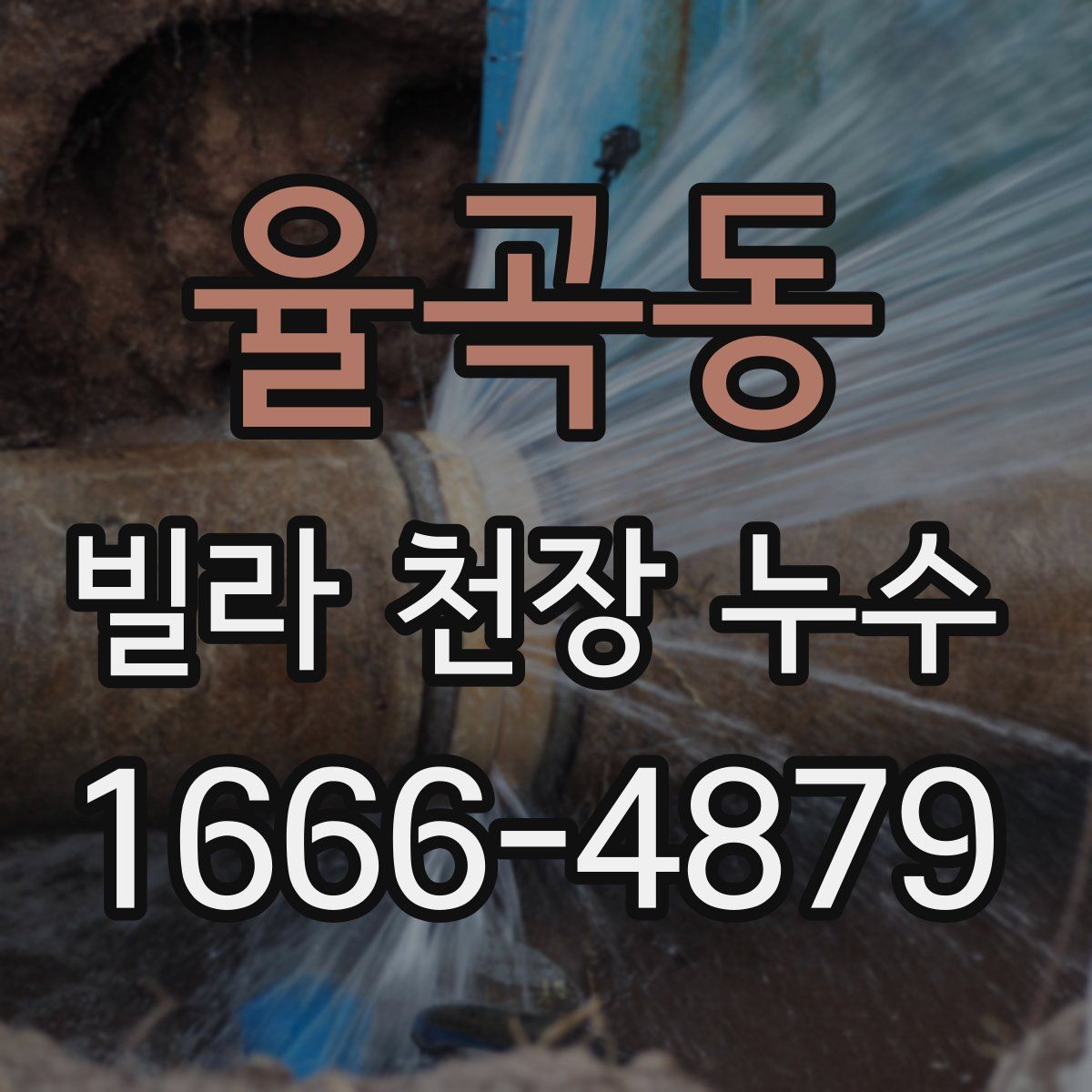율곡동 빌라 천장 누수
