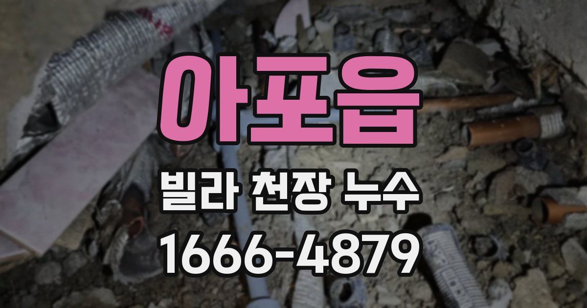 아포읍 빌라 천장 누수