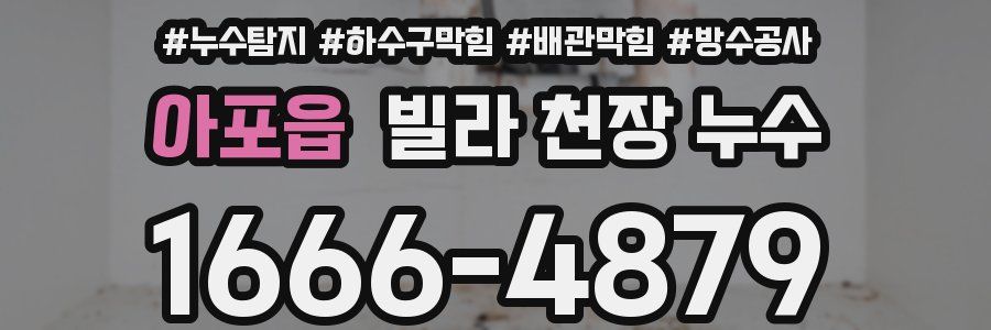 아포읍 빌라 천장 누수