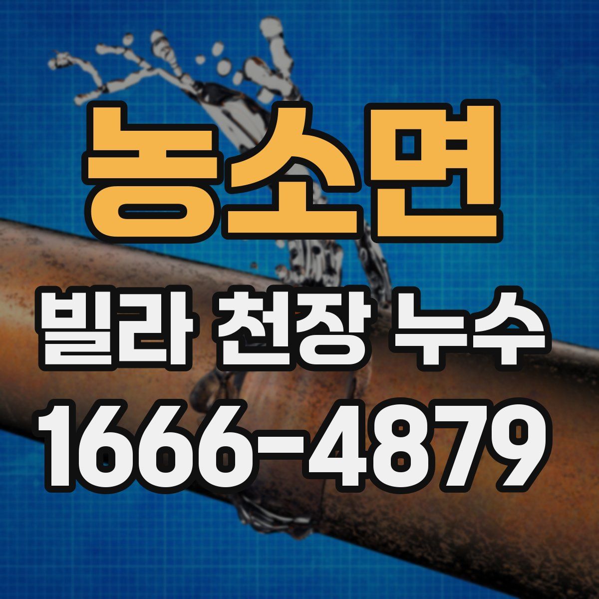 농소면 빌라 천장 누수