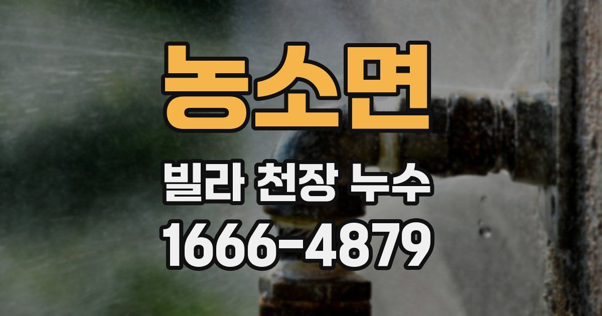 농소면 빌라 천장 누수