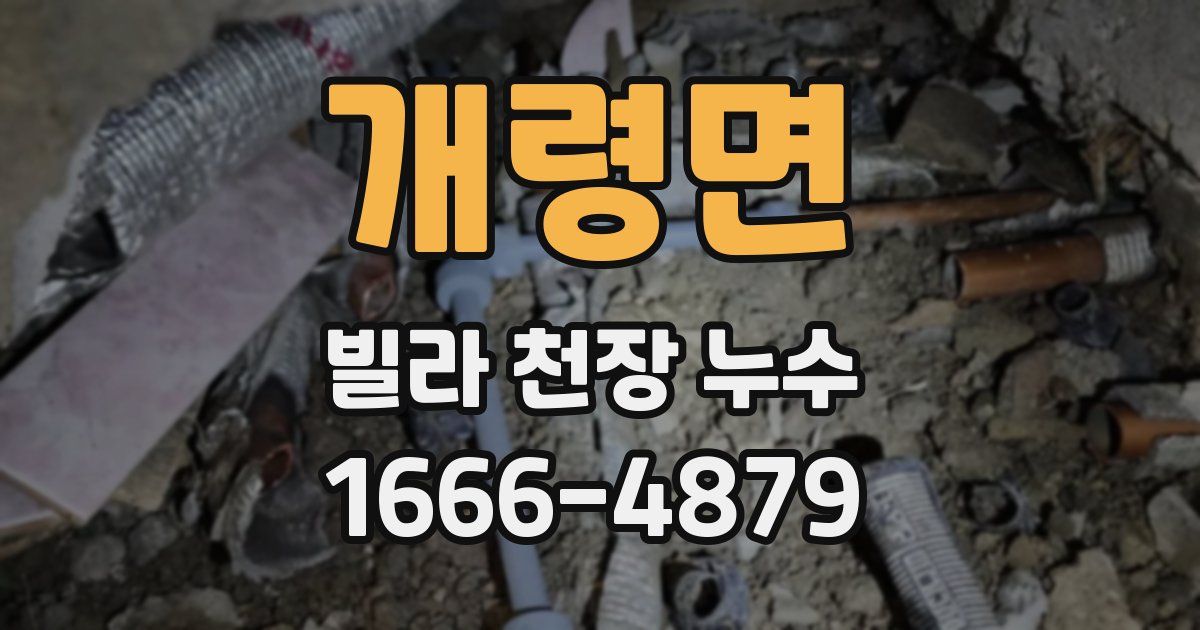 개령면 빌라 천장 누수