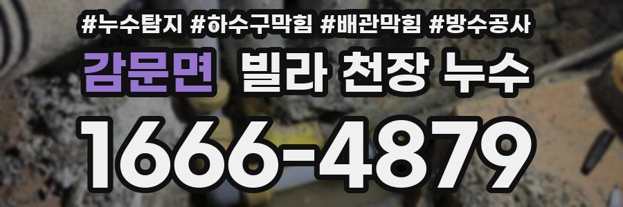 감문면 빌라 천장 누수